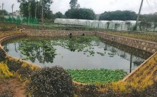 原标题：《云南治理农村生活污水提升乡村“颜值”》