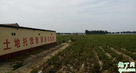 农村现在该不该买地 农村买地需要什么手续-第3张图片-深圳市凯迪瑞门窗科技有限公司