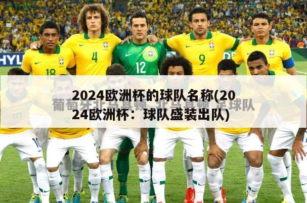 2024欧洲杯的球队名称(2024欧洲杯：球队盛装出队)-第1张图片-深圳市凯迪瑞门窗科技有限公司